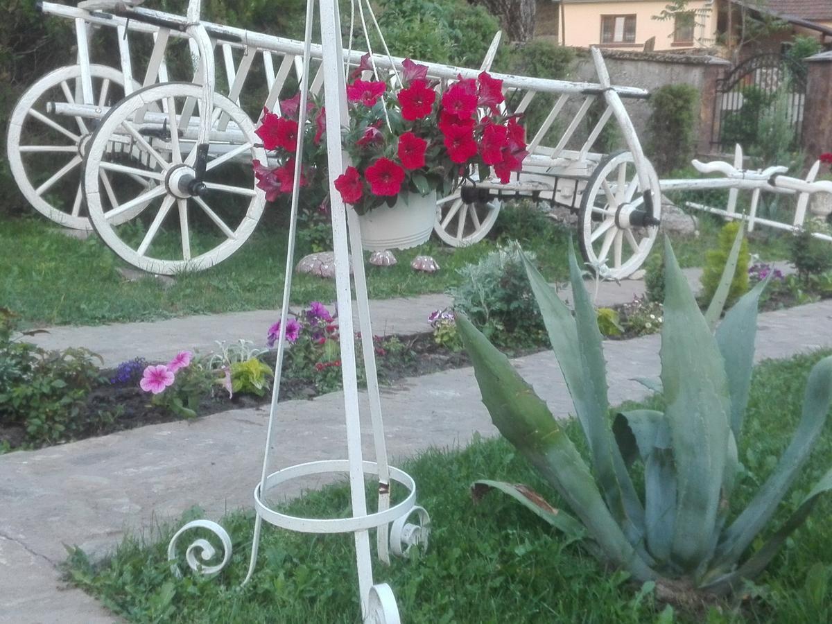 Casa De Vacanta Silvia Vărmaga Exterior foto