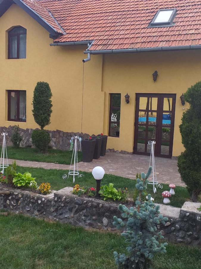 Casa De Vacanta Silvia Vărmaga Exterior foto